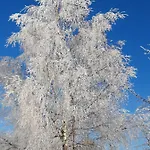 Alpenheim