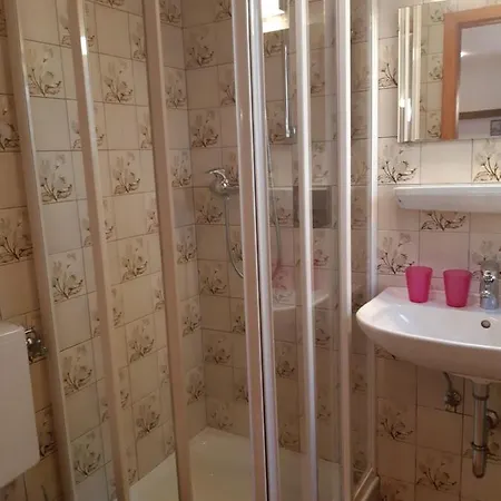 Alpenheim アパート ツェル アム ゼー