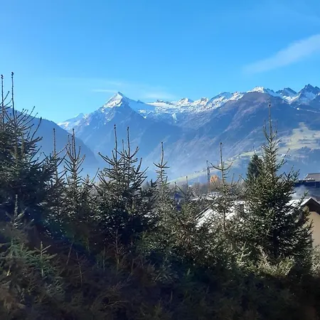 شقة Alpenheim زيل أم سي