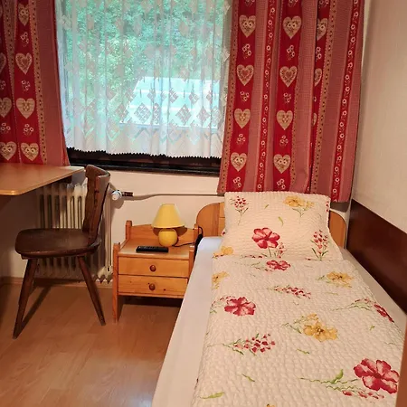 Alpenheim * ツェル アム ゼー