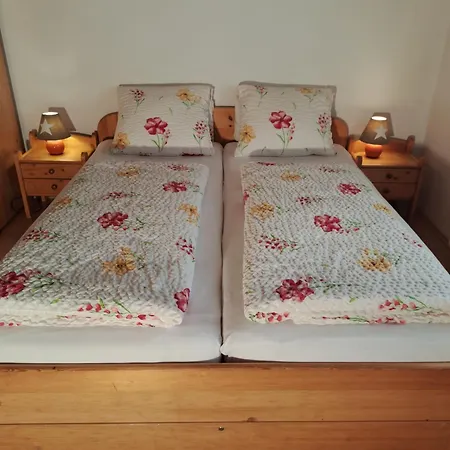 Alpenheim ツェル アム ゼー