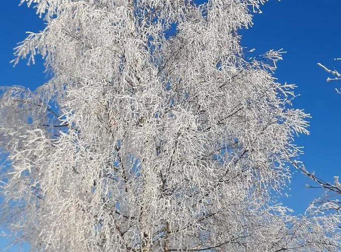 Alpenheim